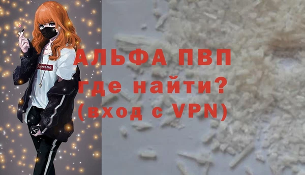 гидра Богородицк