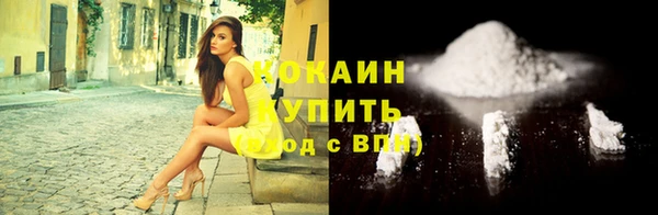 гидра Богородицк