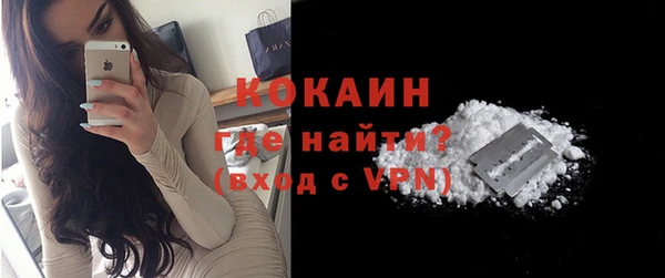 гидра Богородицк