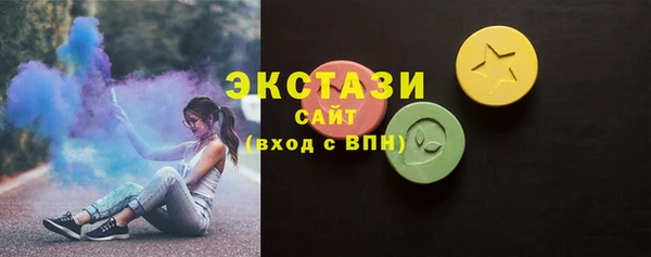 гидра Богородицк
