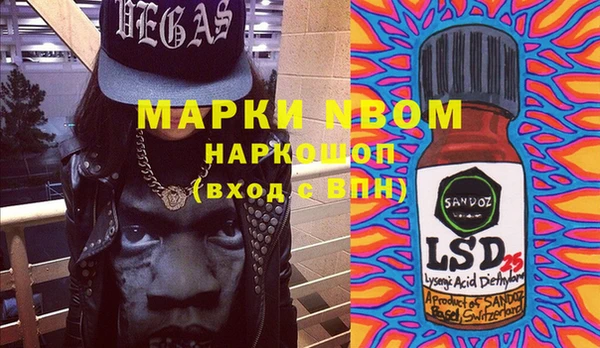 амф Богданович