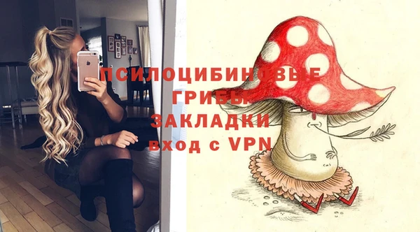 гидра Богородицк
