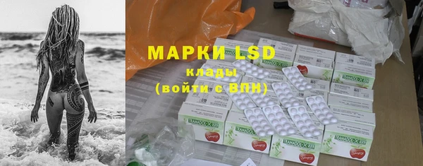 амф Богданович
