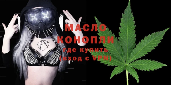 гидра Богородицк
